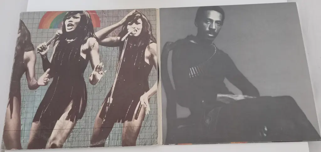 Ike & Tina Turner, What You Hear Is What You Get - Live At Carnegie Hall, (Double Album) Image 1++